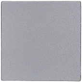 Лейбл светоотражающий Tao, L, серый