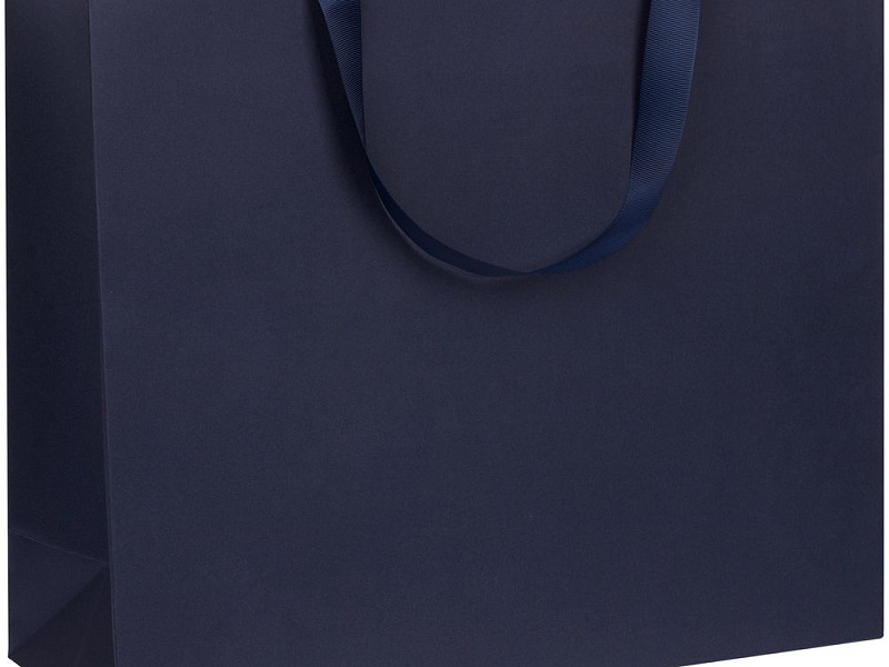 Пакет бумажный Manilla L, синий