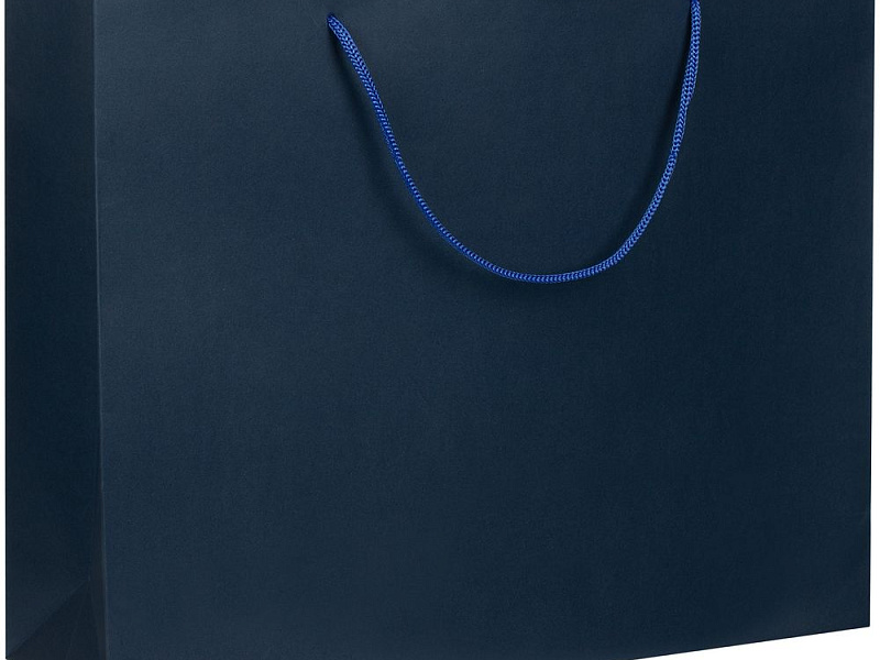 Пакет бумажный Arc L, синий