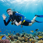 Водонепроницаемый чехол для телефона Aqualock, серый