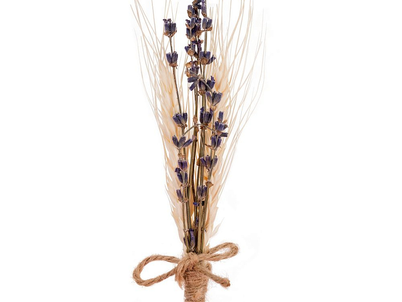 Букет сухоцветов Adorno, бежевый