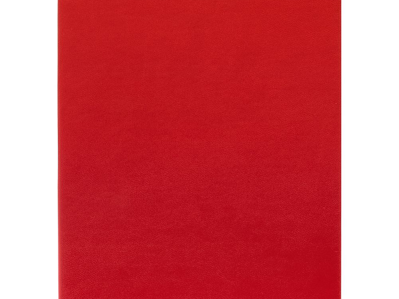 Ежедневник Flat Light, недатированный, красный