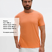 Футболка унисекс Regent 150, оранжевая (абрикосовая)