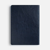 Ежедневник Doppio, недатированный, синий с голубым