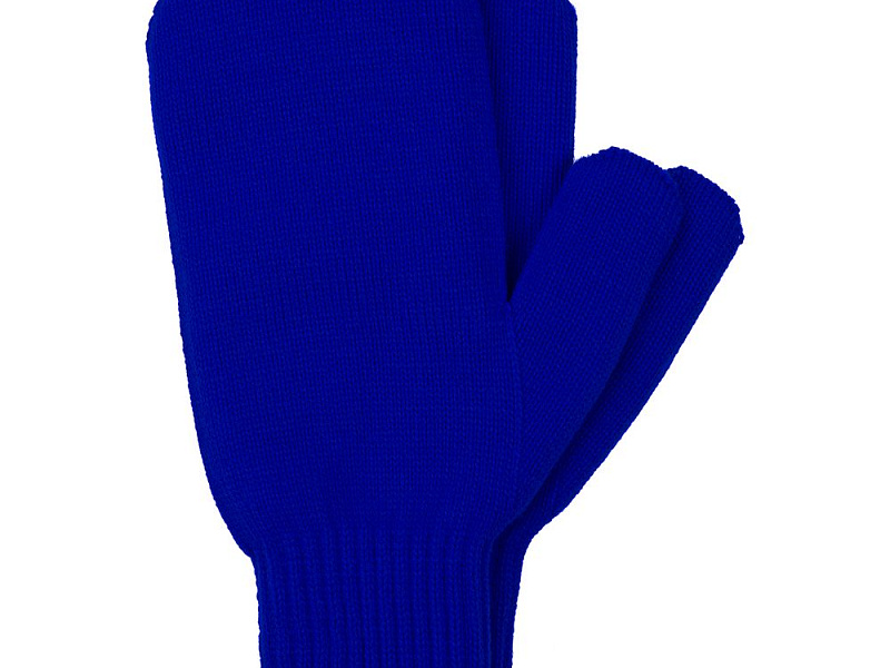Варежки Life Explorer, синие
