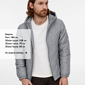 Куртка унисекс Tarnaby, светло-серая