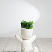 Набор для выращивания Funky Kid