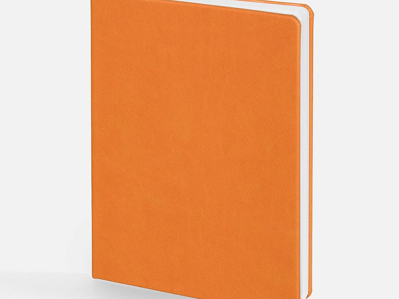 Ежедневник Basis, датированный, оранжевый