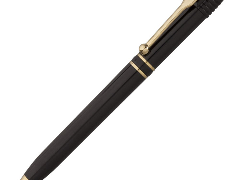 Ручка шариковая Raja Gold, черная