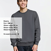 Свитшот Toima 2.0, темно-серый (графит)