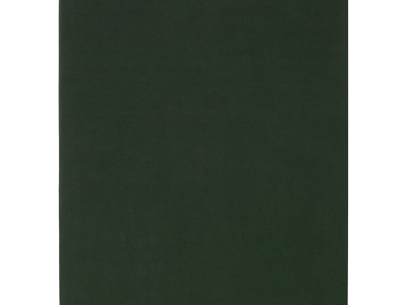 Ежедневник Flat Light, недатированный, зеленый