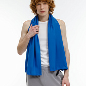 Полотенце спортивное Snaab, синее