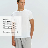 Футболка унисекс Regent 150, желтая (лимонная)