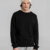 Свитшот унисекс BNC Inspire (Organic), черный