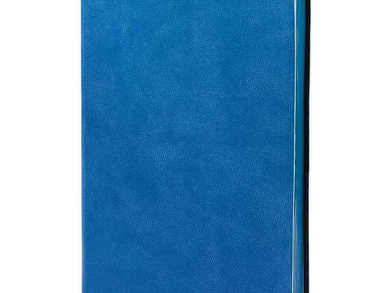 Ежедневник Neat Mini, недатированный, синий