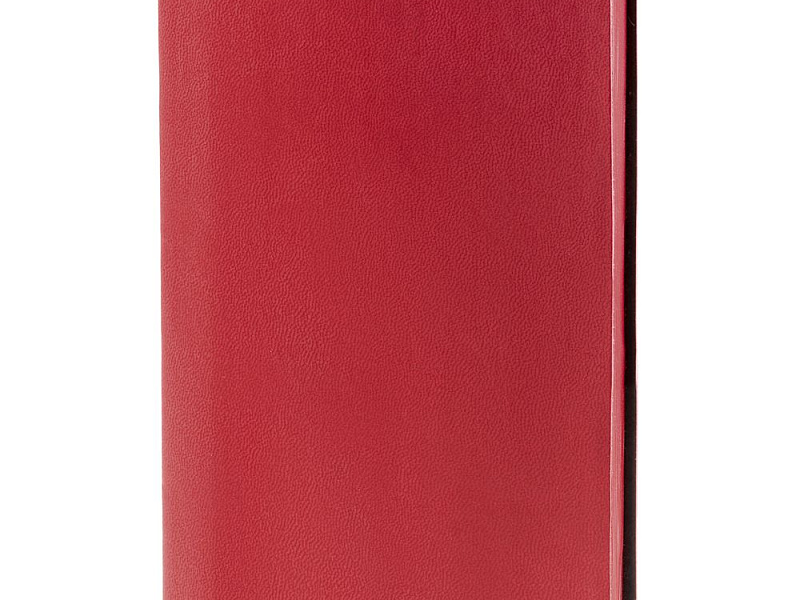 Ежедневник Neat Mini, недатированный, красный