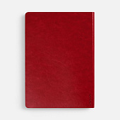 Ежедневник Nebraska Flex, недатированный, красный с серебристым