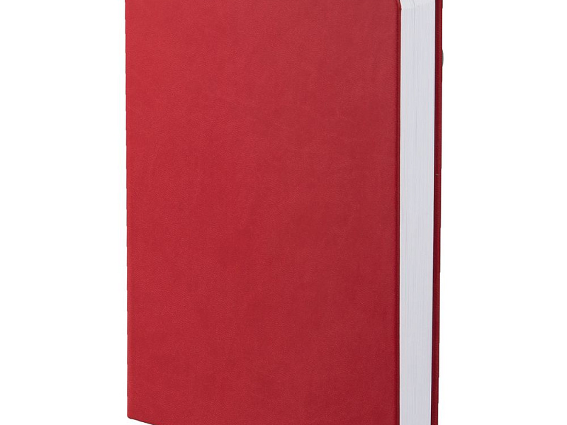 Ежедневник Basis, датированный, красный
