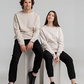 Свитшот унисекс BNC Inspire (Organic), молочно-белый