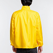 Ветровка Kivach, желтая