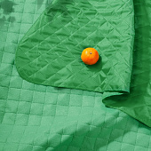 Плед для пикника Soft & Dry, светло-зеленый