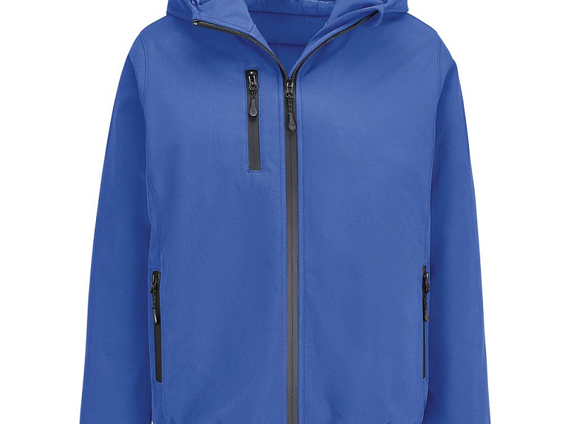 Куртка софтшелл с капюшоном женская Falcon Women, ярко-синяя (royal)