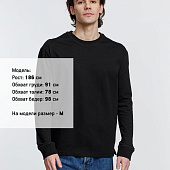 Футболка унисекс с длинным рукавом Pioneer LSL, черная