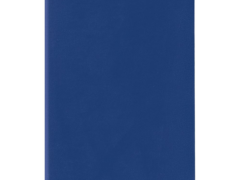 Ежедневник Flat Mini, недатированный, синий