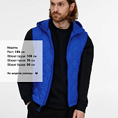 Жилет унисекс Tarnaby, ярко-синий