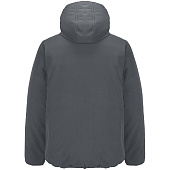 Куртка софтшелл с капюшоном мужская Falcon Men, темно-серая