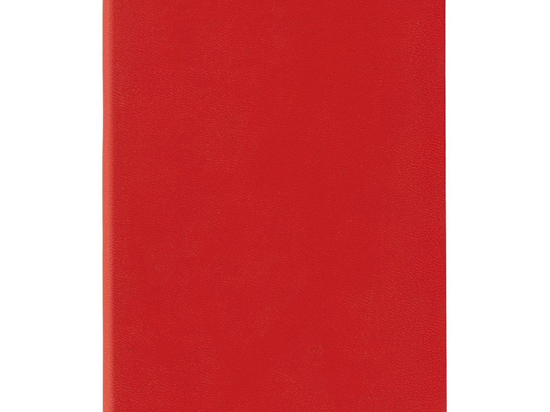 Ежедневник Flat Mini, недатированный, красный